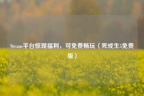 Steam平台惊现福利,可免费畅玩〈死或生5免费版〉