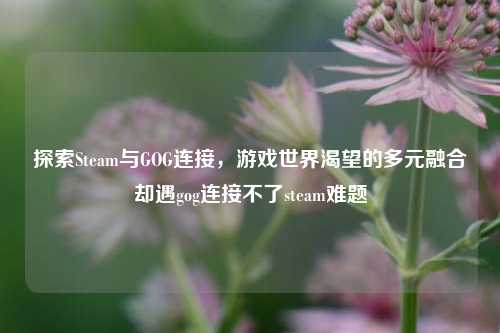 探索Steam与GOG连接,游戏世界渴望的多元融合却遇gog连接不了steam难题