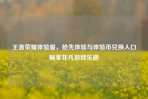 王者荣耀体验服,抢先体验与体验币兑换入口畅享非凡游戏乐趣