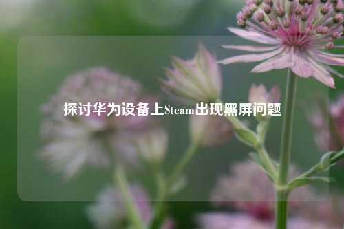 探讨华为设备上Steam出现黑屏问题