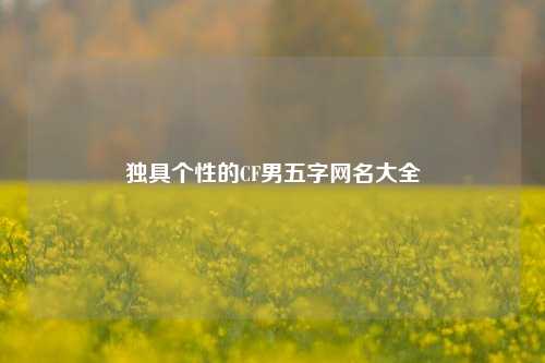 独具个性的CF男五字网名大全