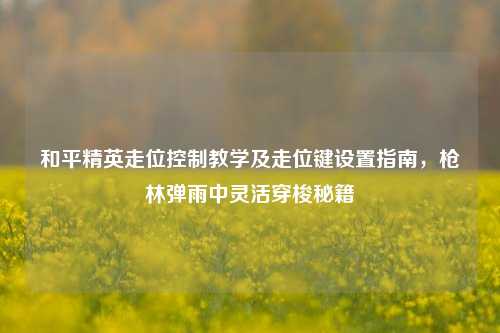 和平精英走位控制教学及走位键设置指南,枪林弹雨中灵活穿梭秘籍