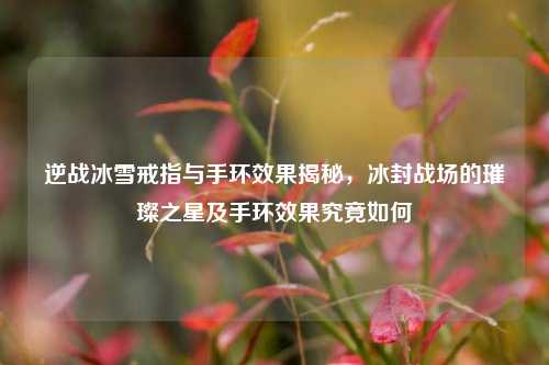 逆战冰雪戒指与手环效果揭秘,冰封战场的璀璨之星及手环效果究竟如何