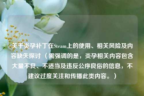 关于炎孕补丁在Steam上的使用、相关风险及内容缺失探讨 (需强调的是,炎孕相关内容包含大量不良、不适当及违反公序良俗的信息,不建议过度关注和传播此类内容。)