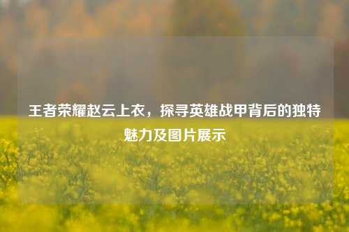 王者荣耀赵云上衣,探寻英雄战甲背后的独特魅力及图片展示