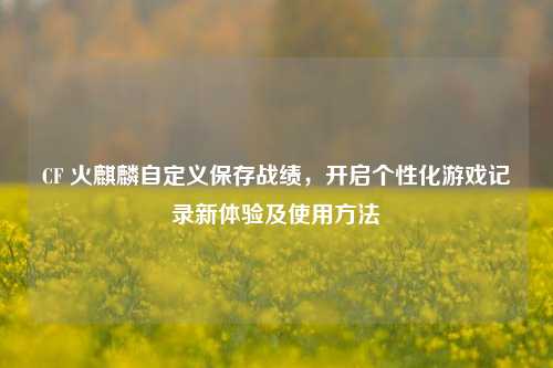 CF 火麒麟自定义保存战绩,开启个性化游戏记录新体验及使用方法