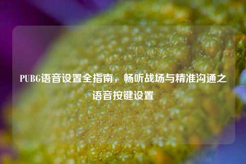 PUBG语音设置全指南,畅听战场与精准沟通之语音按键设置