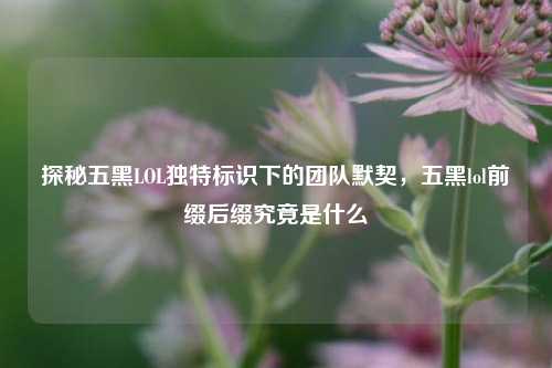 探秘五黑LOL独特标识下的团队默契,五黑lol前缀后缀究竟是什么