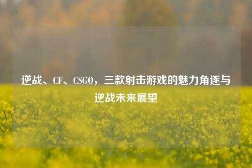 逆战、CF、CSGO,三款射击游戏的魅力角逐与逆战未来展望