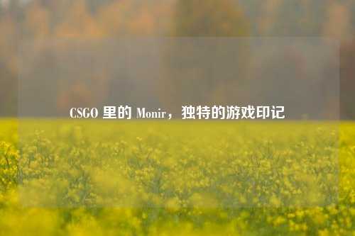 CSGO 里的 Monir,独特的游戏印记