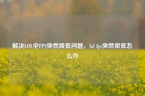解决LOL中FPS突然降低问题,lol fps突然很低怎么办