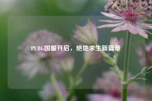 PUBG国服开启,绝地求生新篇章