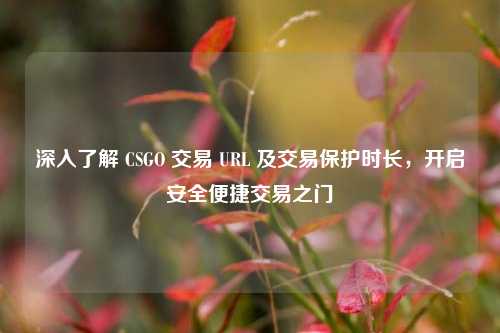 深入了解 CSGO 交易 URL 及交易保护时长,开启安全便捷交易之门
