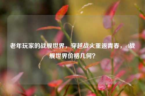 老年玩家的战舰世界,穿越战火重返青春,cf战舰世界价格几何?
