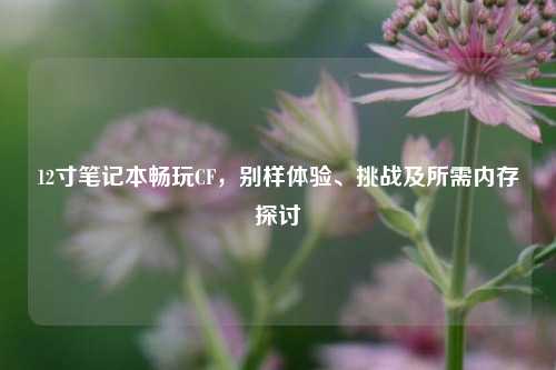 12寸笔记本畅玩CF,别样体验、挑战及所需内存探讨