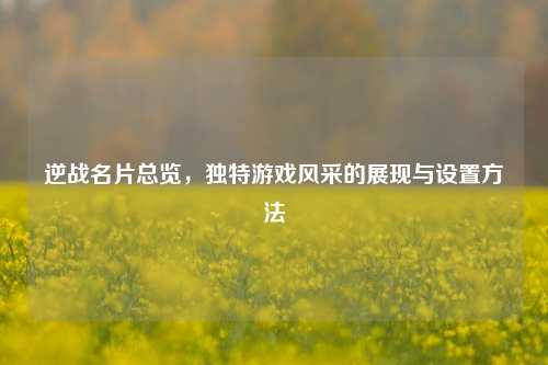 逆战名片总览,独特游戏风采的展现与设置方法
