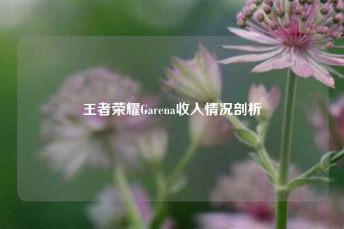王者荣耀Garena收入情况剖析