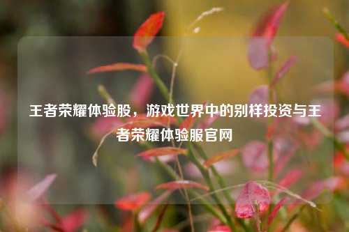 王者荣耀体验股,游戏世界中的别样投资与王者荣耀体验服官网