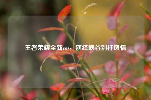 王者荣耀全新cos，演绎峡谷别样风情
