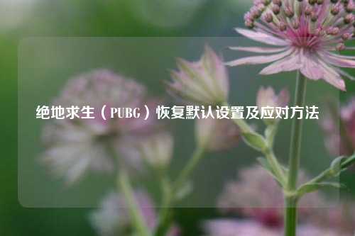 绝地求生(PUBG)恢复默认设置及应对方法
