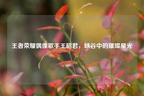 王者荣耀偶像歌手王昭君,峡谷中的璀璨星光