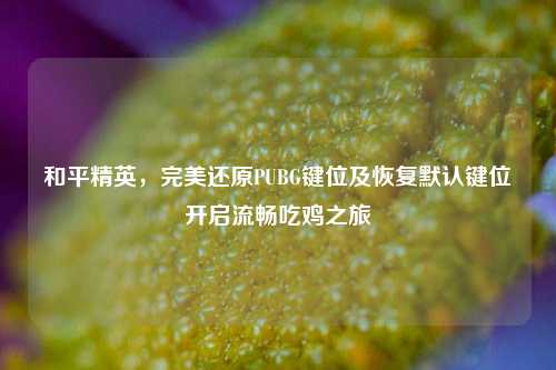 和平精英，完美还原PUBG键位及恢复默认键位开启流畅吃鸡之旅