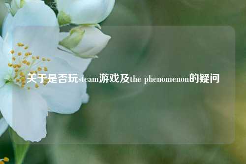 关于是否玩steam游戏及the phenomenon的疑问