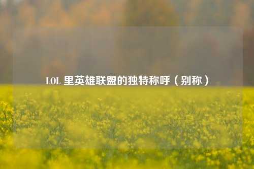 LOL 里英雄联盟的独特称呼(别称)