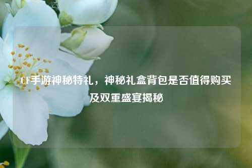 CF手游神秘特礼,神秘礼盒背包是否值得购买及双重盛宴揭秘