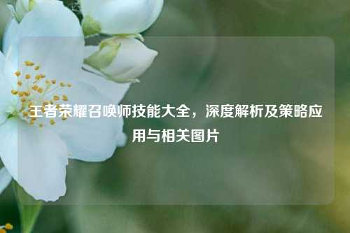 王者荣耀召唤师技能大全,深度解析及策略应用与相关图片