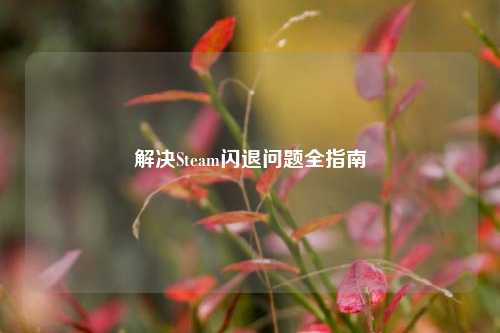 解决Steam闪退问题全指南
