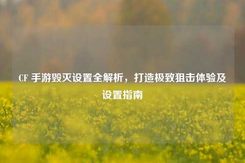 CF 手游毁灭设置全解析,打造极致狙击体验及设置指南