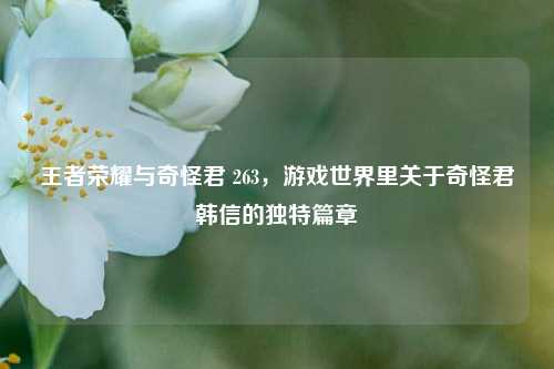 王者荣耀与奇怪君 263,游戏世界里关于奇怪君韩信的独特篇章