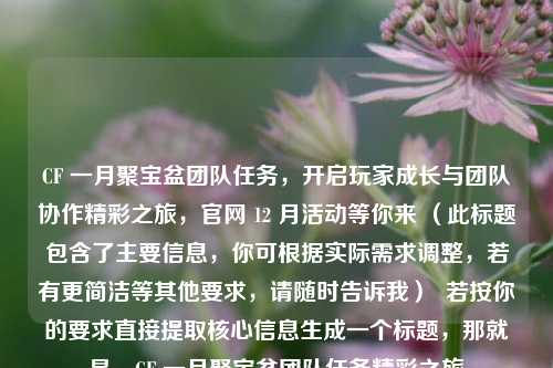 CF 一月聚宝盆团队任务,开启玩家成长与团队协作精彩之旅,官网 12 月活动等你来 (此标题包含了主要信息,你可根据实际需求调整,若有更简洁等其他要求,请随时告诉我) 若按你的要求直接提取核心信息生成一个标题,那就是,CF 一月聚宝盆团队任务精彩之旅