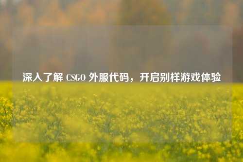 深入了解 CSGO 外服代码,开启别样游戏体验