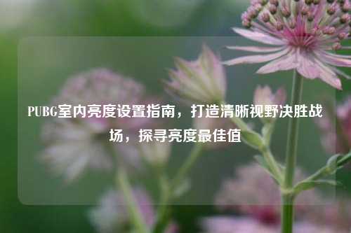 PUBG室内亮度设置指南,打造清晰视野决胜战场,探寻亮度最佳值