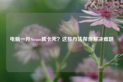 电脑一开Steam就卡死?这些方法帮你解决难题