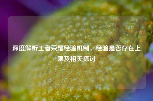 深度解析王者荣耀经验机制,经验是否存在上限及相关探讨