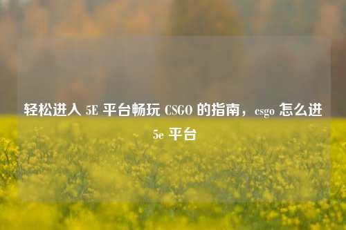 轻松进入 5E 平台畅玩 CSGO 的指南,csgo 怎么进 5e 平台