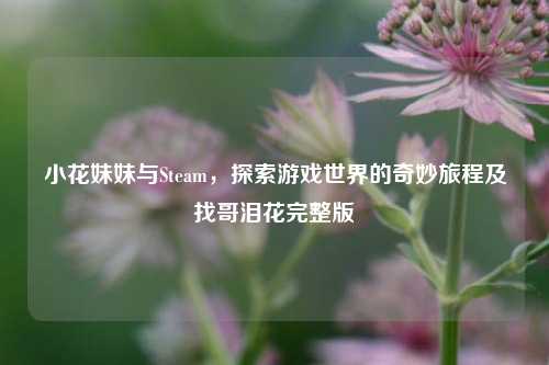 小花妹妹与Steam，探索游戏世界的奇妙旅程及找哥泪花完整版