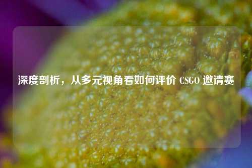 深度剖析,从多元视角看如何评价 CSGO 邀请赛