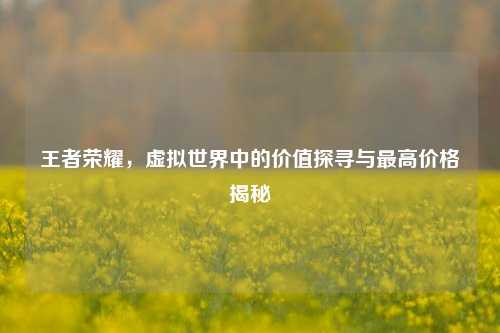 王者荣耀,虚拟世界中的价值探寻与最高价格揭秘