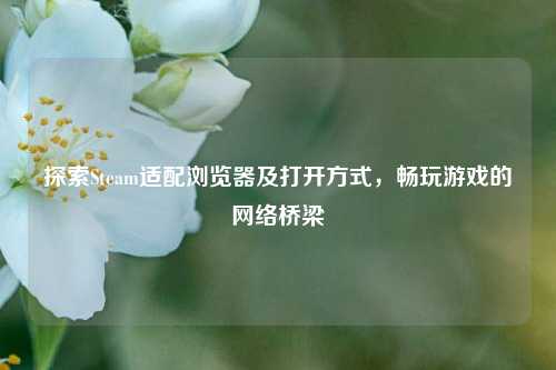 探索Steam适配浏览器及打开方式,畅玩游戏的网络桥梁