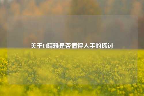 关于Cf晴雅是否值得入手的探讨