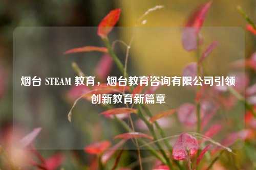 烟台 STEAM 教育,烟台教育咨询有限公司引领创新教育新篇章