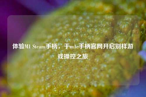 体验M1 Steam手柄,于m1c手柄官网开启别样游戏操控之旅