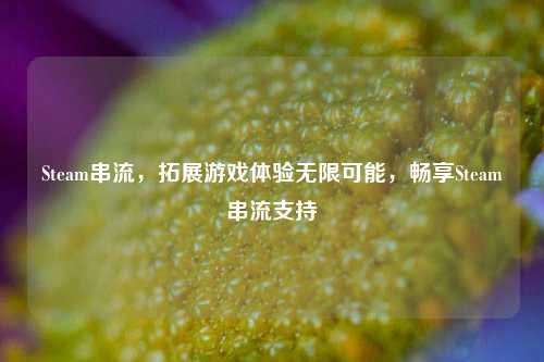 Steam串流,拓展游戏体验无限可能,畅享Steam串流支持