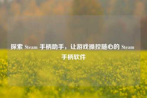 探索 Steam 手柄助手,让游戏操控随心的 Steam 手柄软件