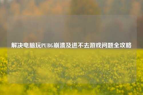 解决电脑玩PUBG崩溃及进不去游戏问题全攻略