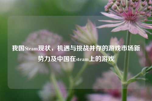 我国Steam现状,机遇与挑战并存的游戏市场新势力及中国在steam上的游戏
